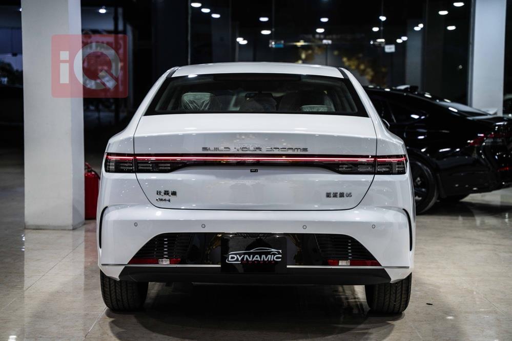 بی وای دی دیسترۆیەر 05